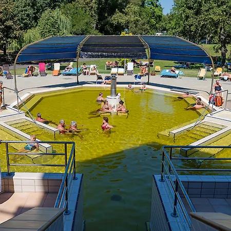 فندق Aquaticum Termal & Wellness 4*