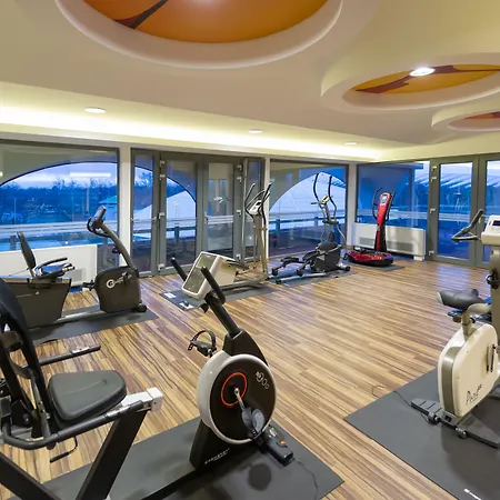 Aquaticum Termal & Wellness 4*