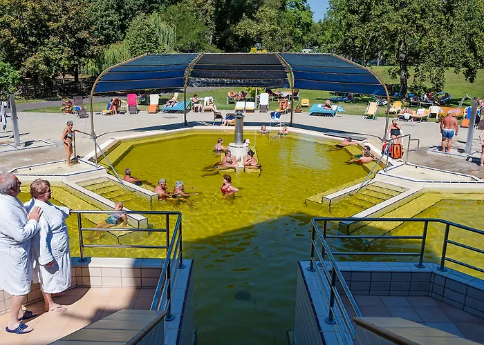 מלון Aquaticum Termal & Wellness 4*